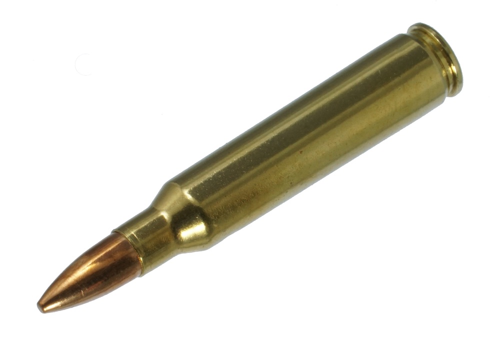 ダミーカート ライフル弾  5.56 NATO  プライマー付実弾レプリカ